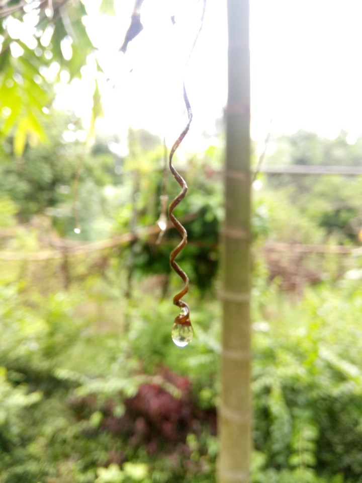 water drop 