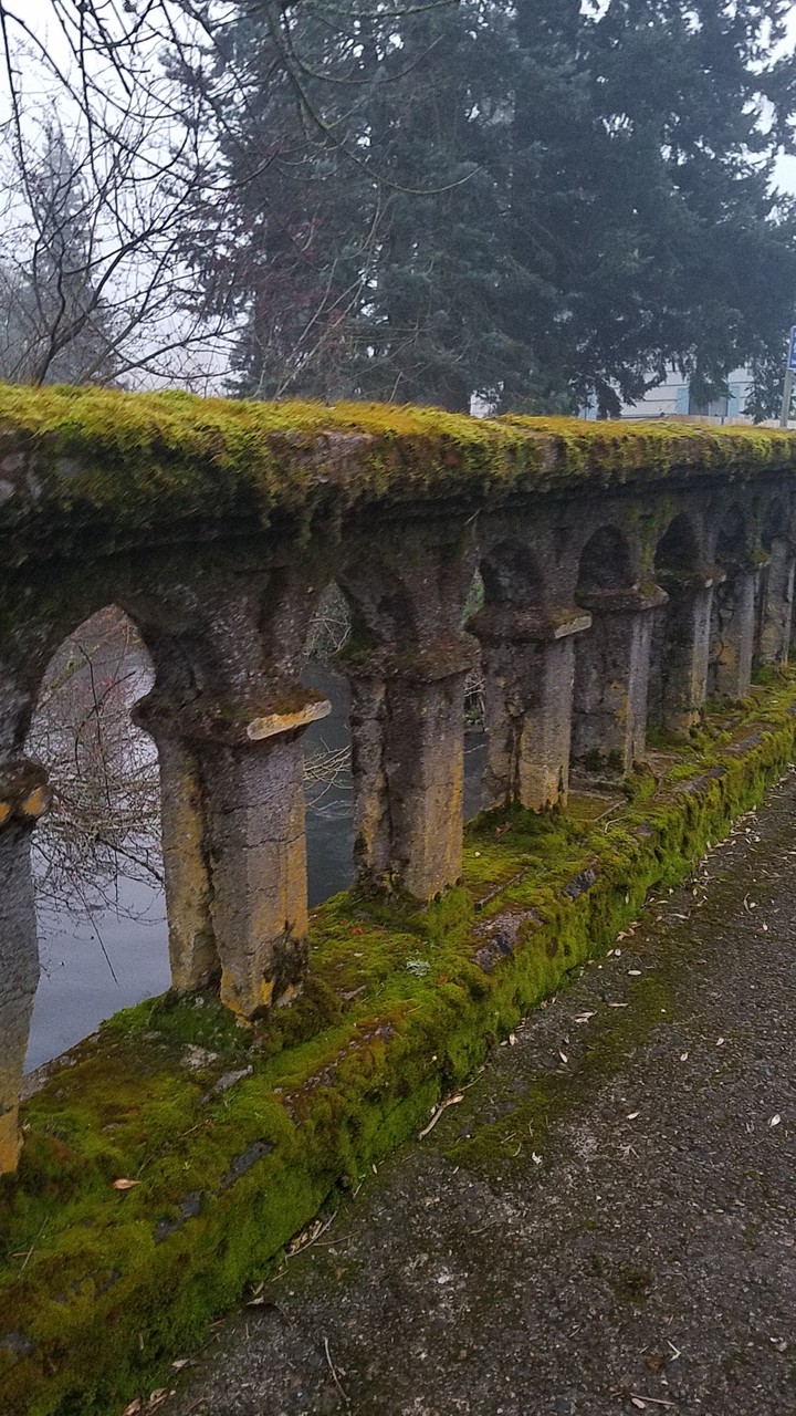 the Moss Bridge