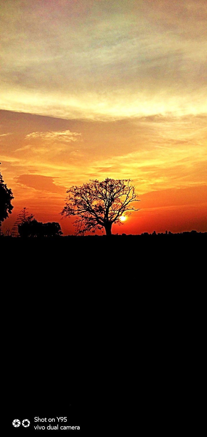 sunset ⛅