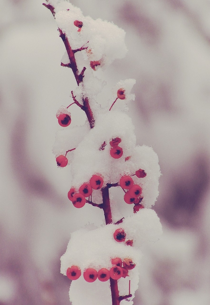 winter