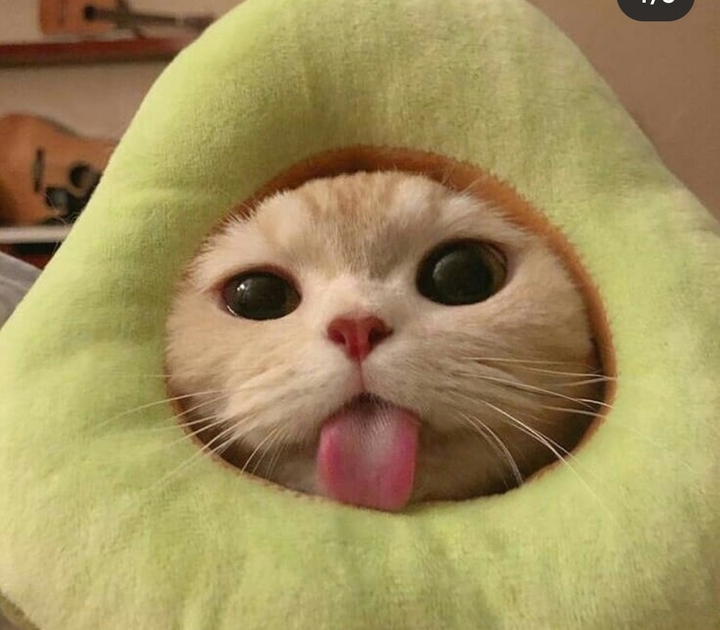 ??