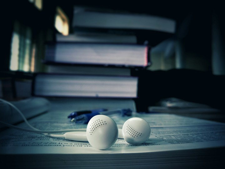 Earphones