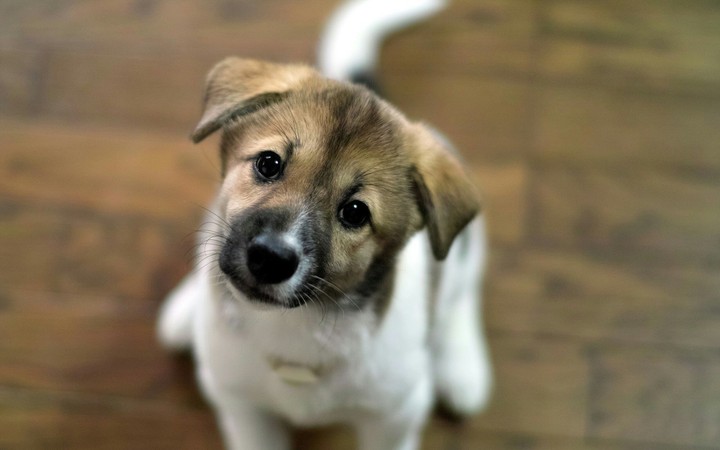 cute