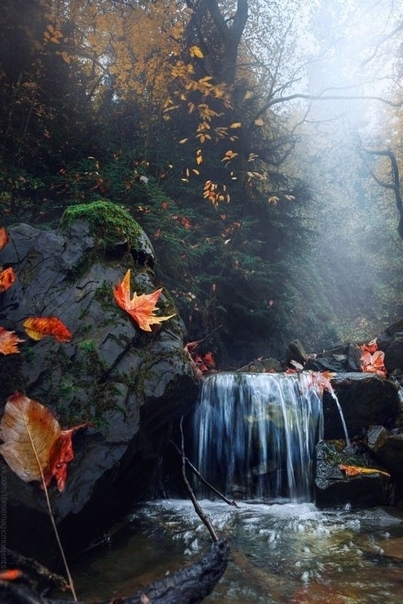 осень