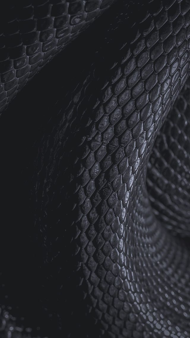 BLVCK Paris