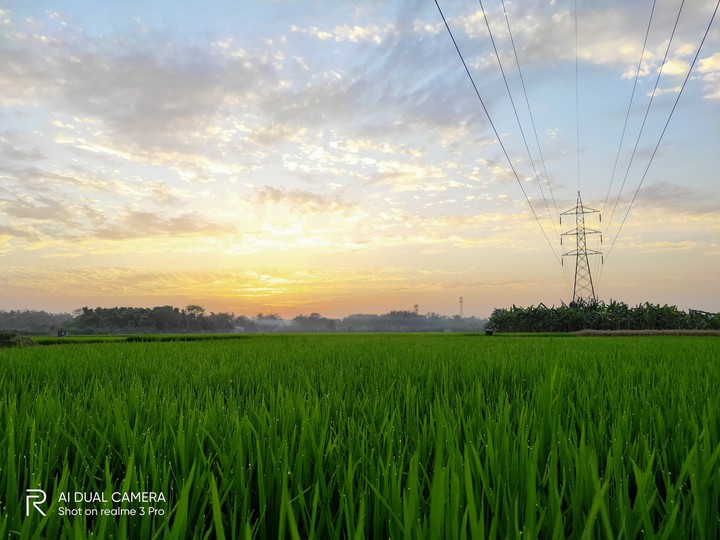 village evening