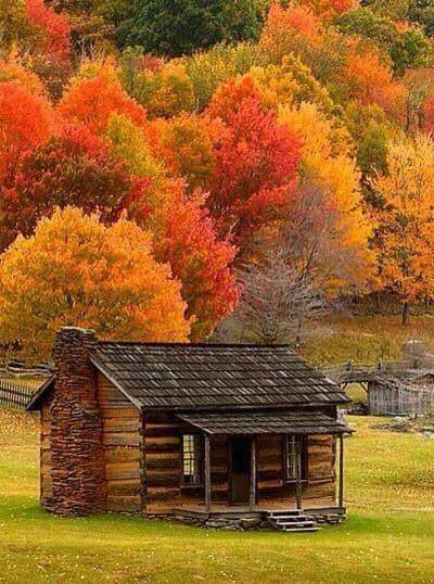 paysage d'automne