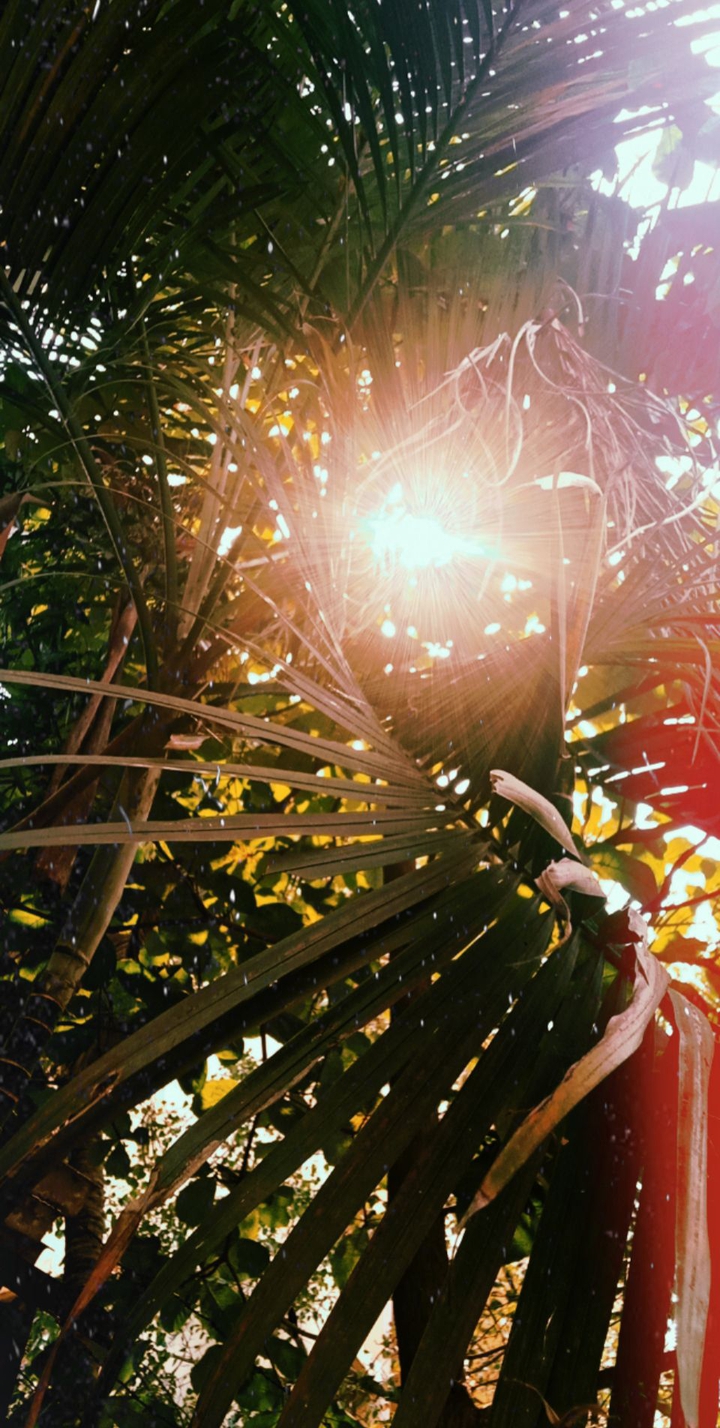✨