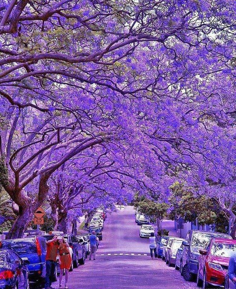 Australia