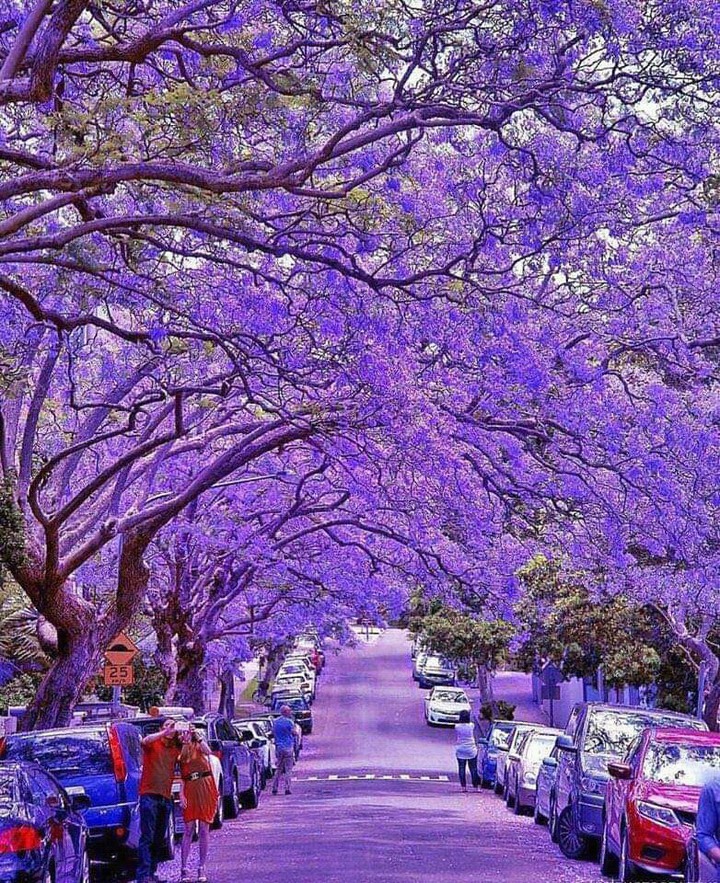 Australia