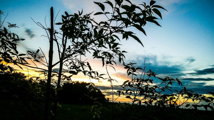 sunset