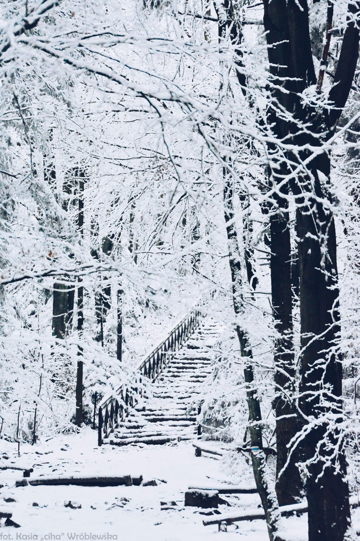 winter stairs