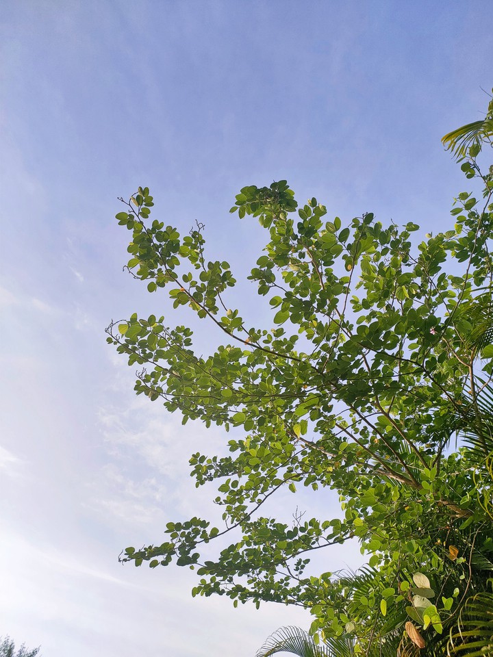 Open blue sky