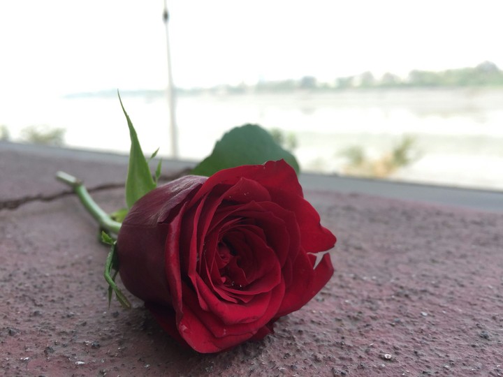 Valentine's day special
