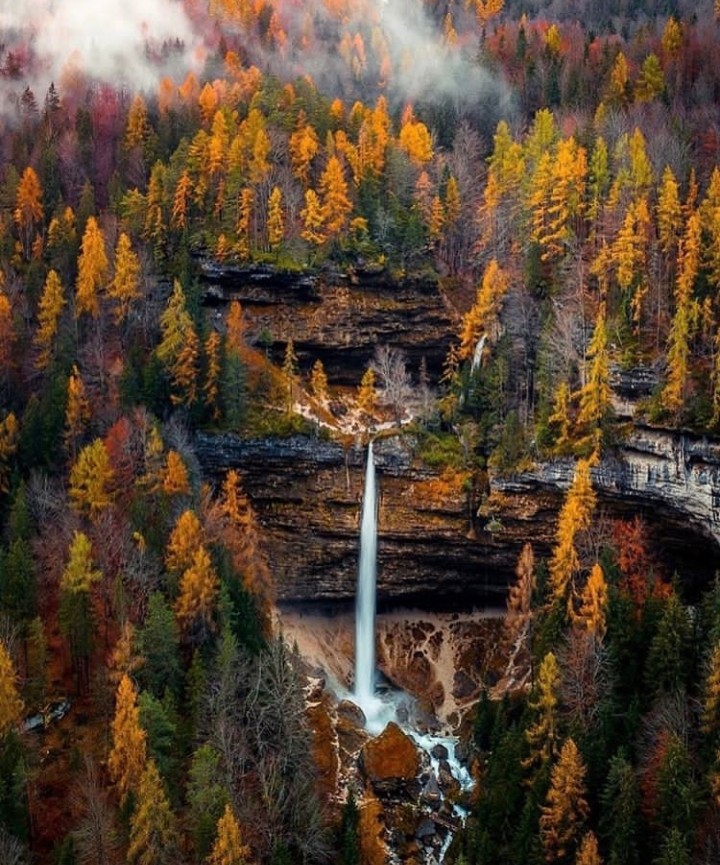 Autumn