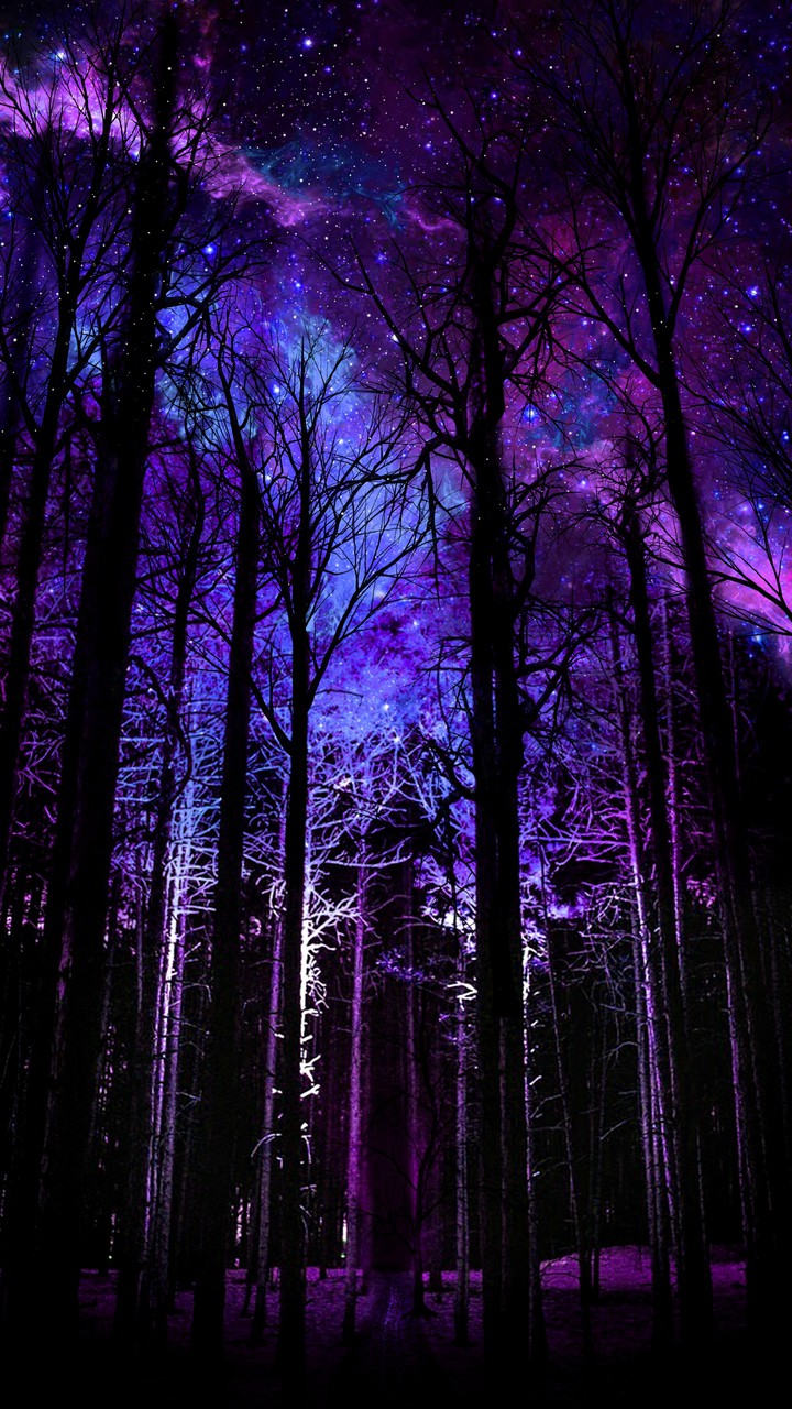 Trees