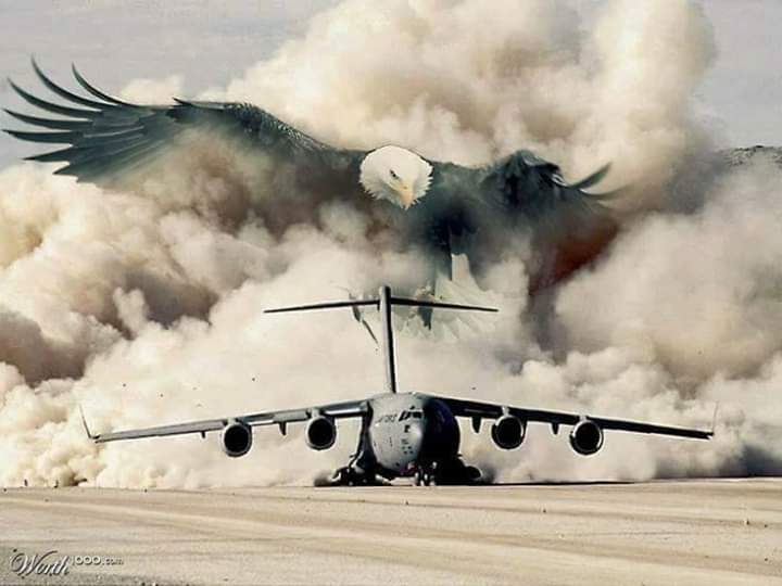 The Eagle has landed