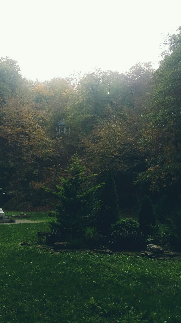 осень
