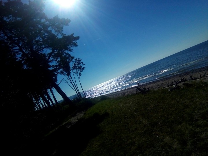 Sea