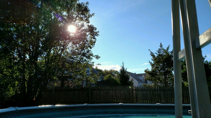 pool ladder