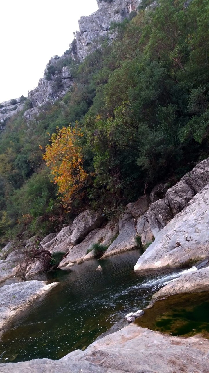 nature
