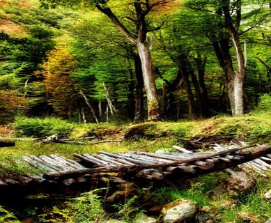 Broken bridge