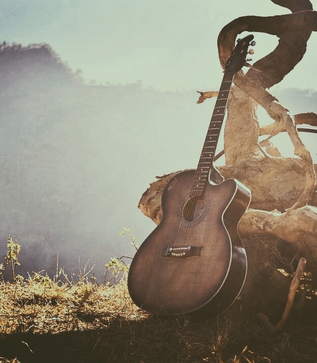guitar it is