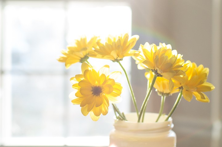 Cheery Yellow Flowers