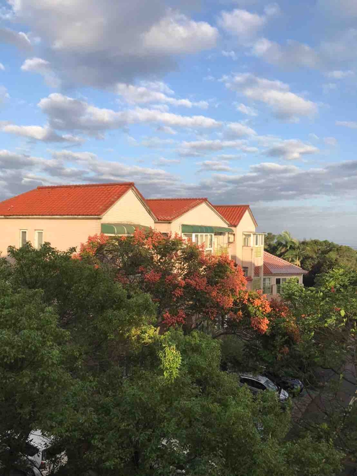 my aunts house