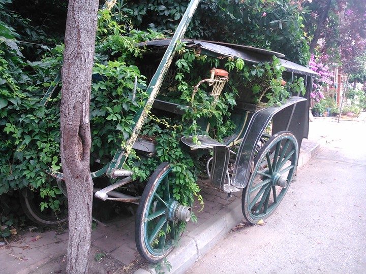 Büyükada