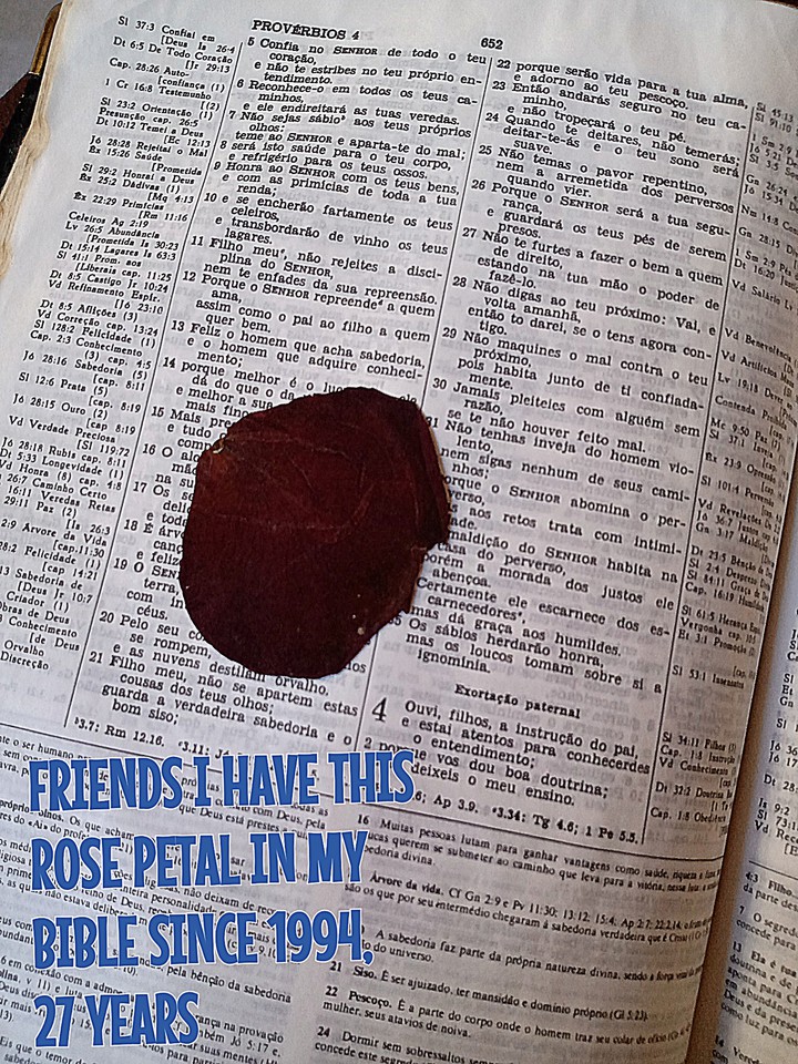 PETAL ROSE?
