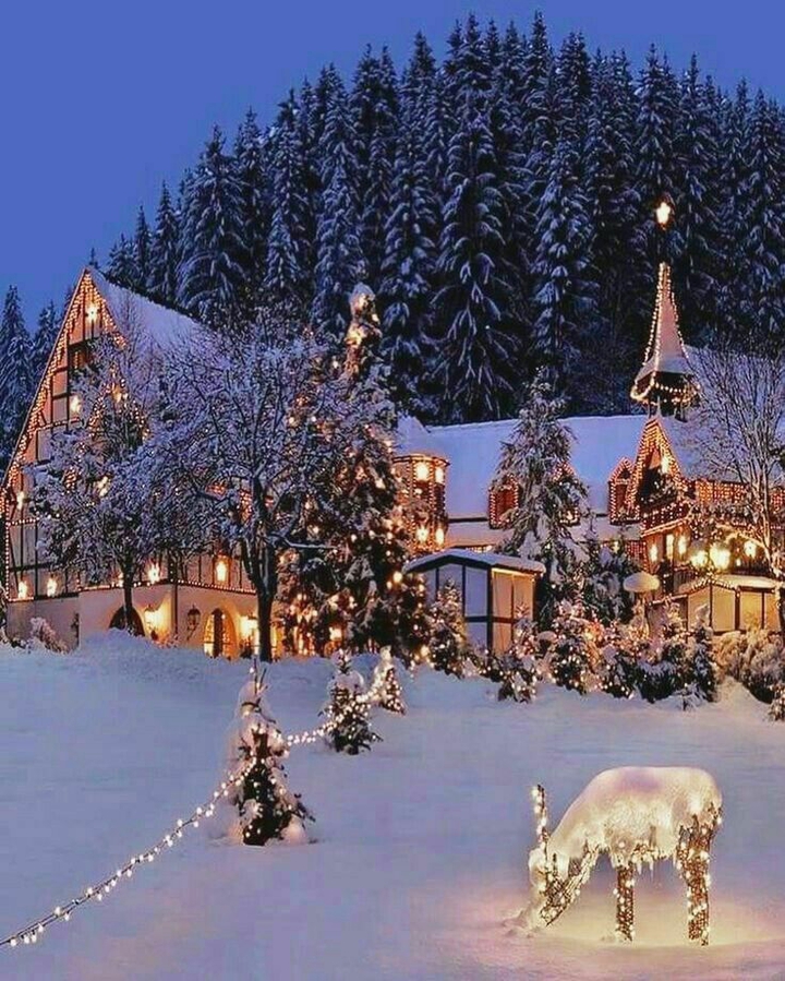 winter