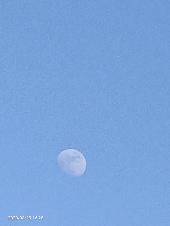 bulan disiang hari..#moon