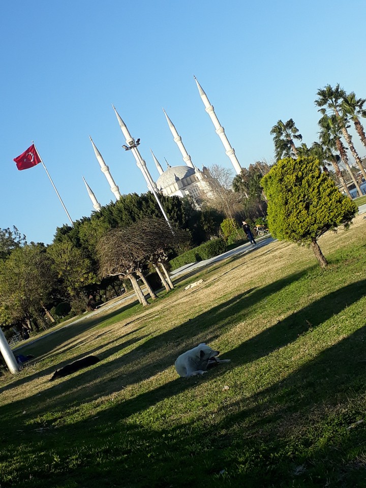 sabancı merkez camii