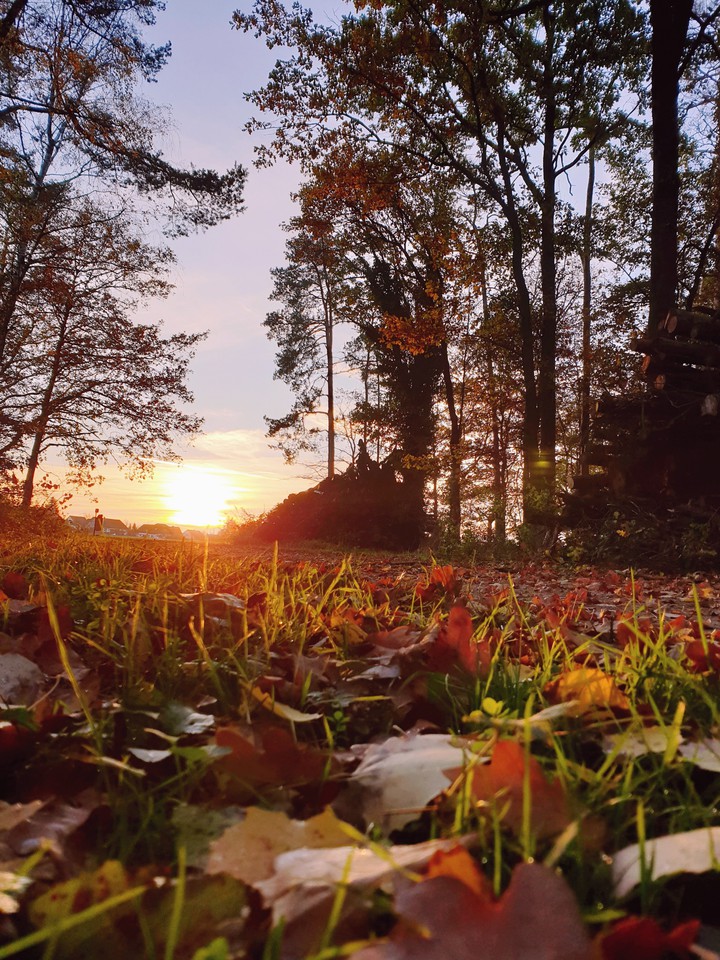 Herbst