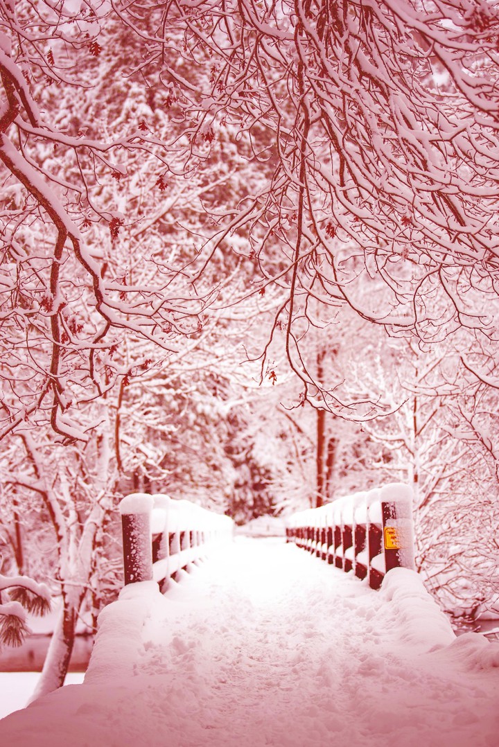 snow