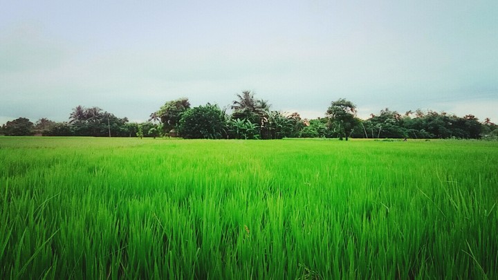 village