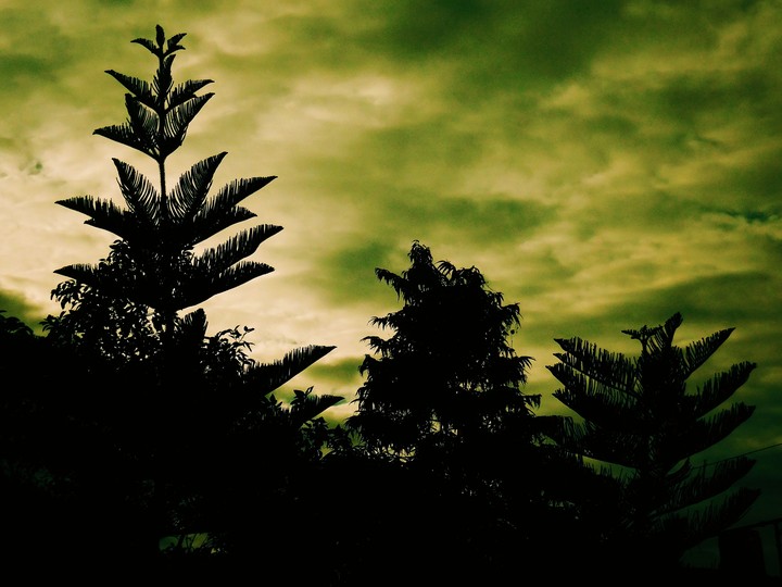 UNUSUALLY COOL N MUGGY EVENING