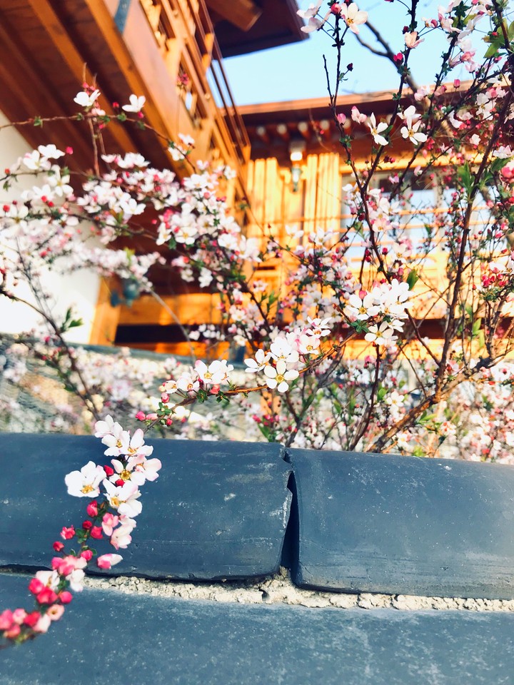 Spring?