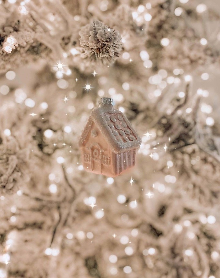 Xmas