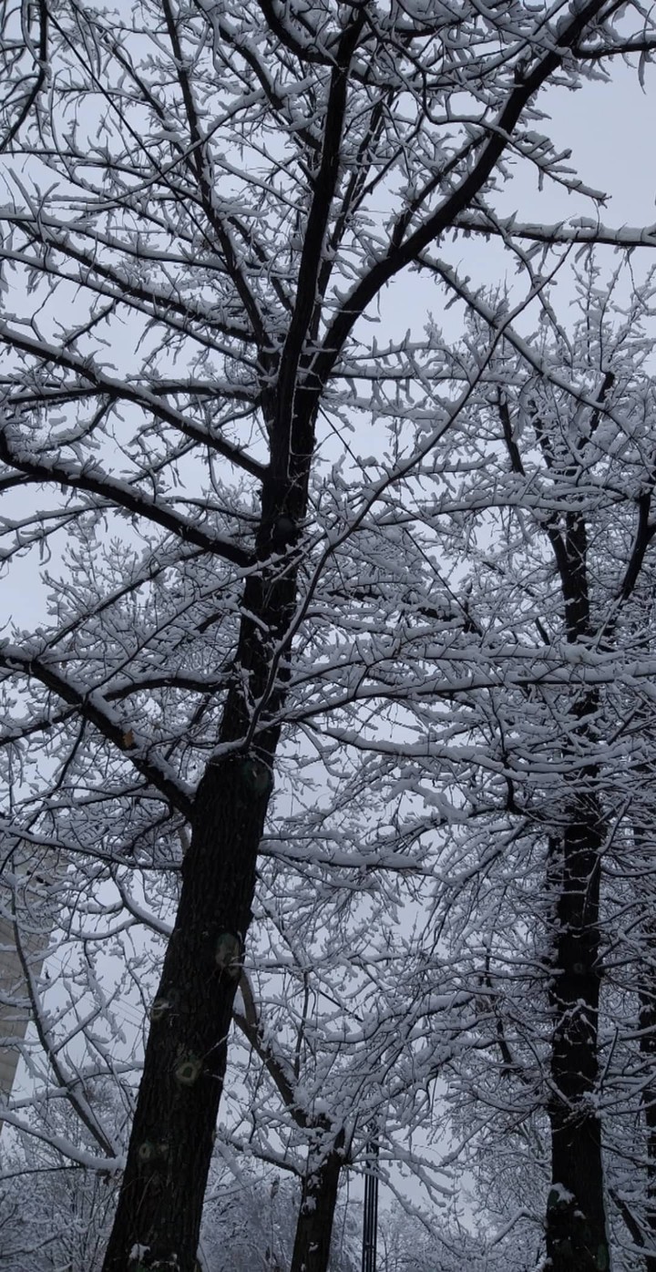 Snow in Almaty