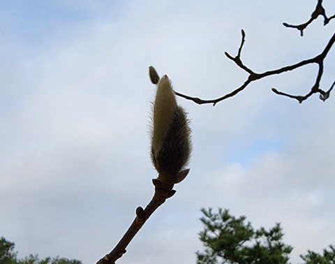 cloud, sky壁紙