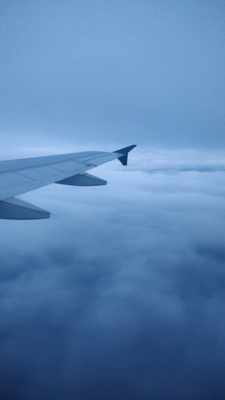 window view