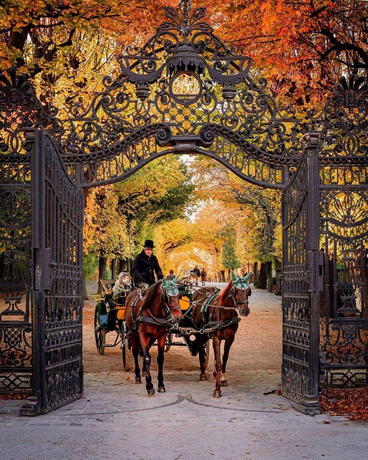 Schönbrunn