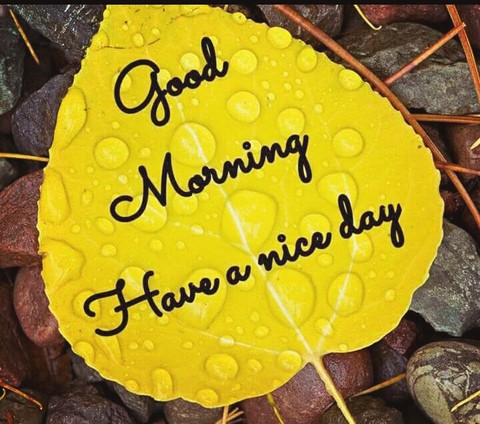 good morning