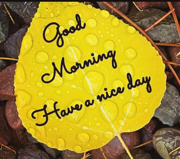 good morning
