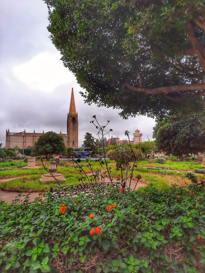 Jardin