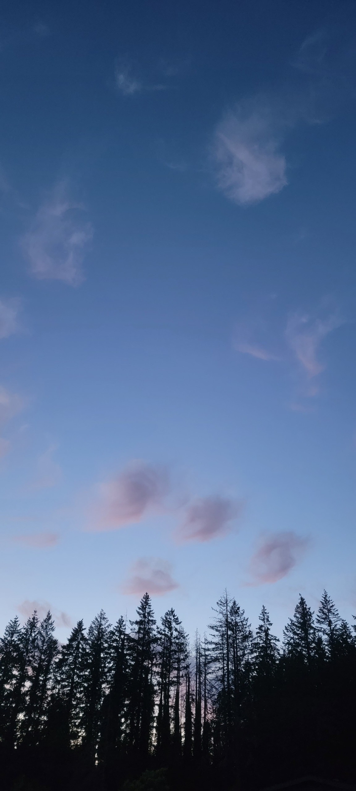 Twilight