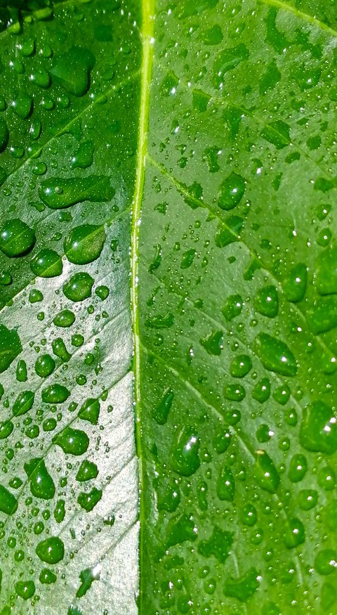 Beauty is in the details