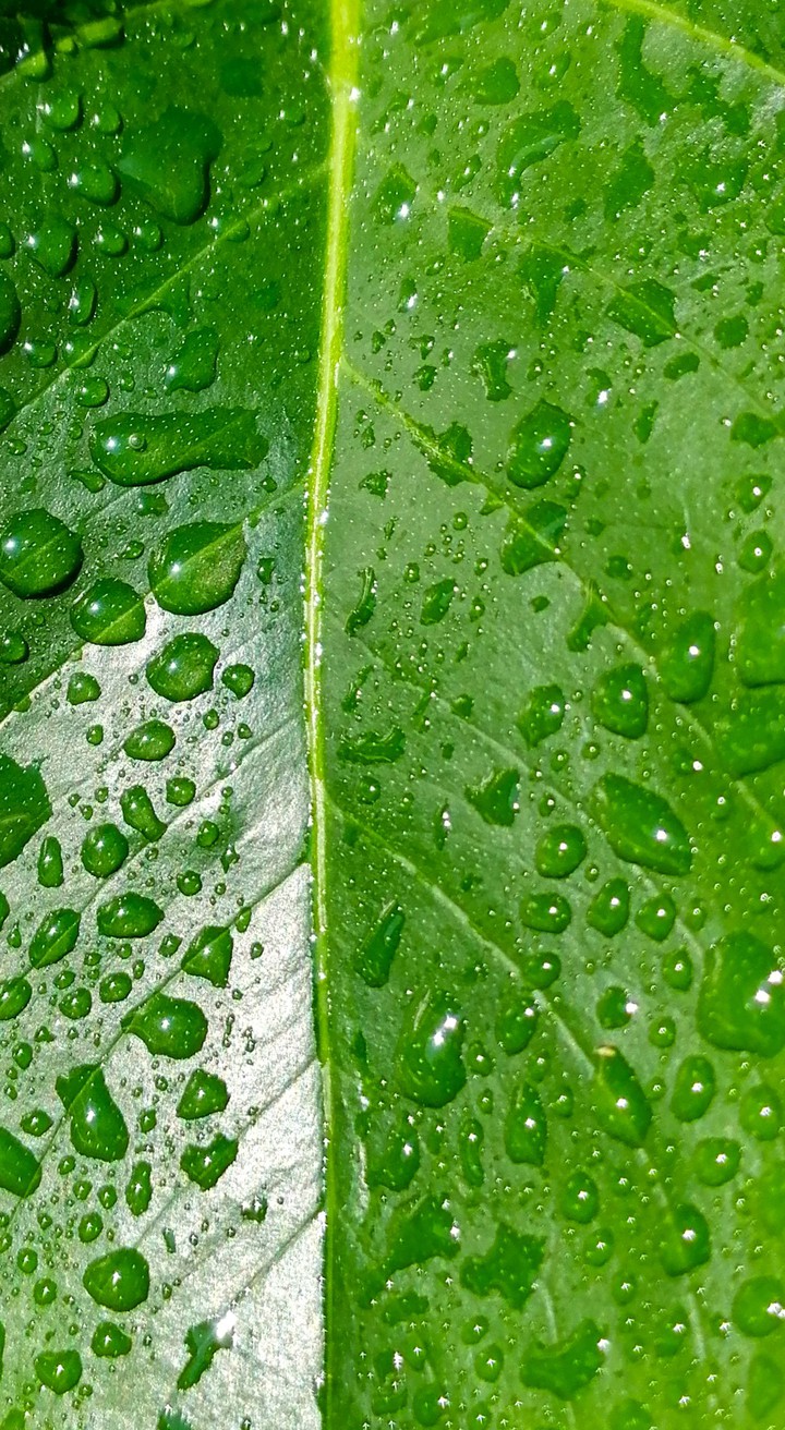 Beauty is in the details